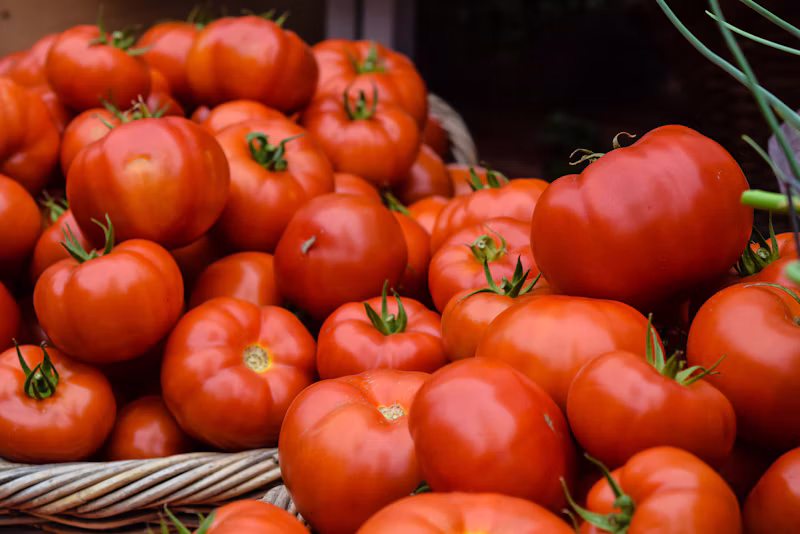 Óleo de Soja (900ml)